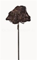 Lot 153 - AN IRON METEORITE FROM THE SIKHOTE-ALIN...