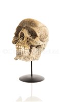 Lot 110 - Ø A REALISTICALLY MODELLED HUMAN SKULL CARVED...