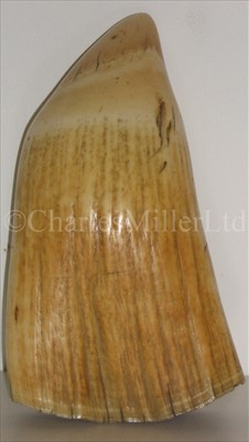 Lot 106 - A LARGE SCRIMSHAW-DECORATED WHALE'S...