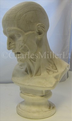 Lot 206 - A 19TH-CENTURY FRENCH PHRENOLOGY HEAD <br/>the...