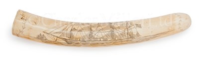 Lot 142 - A 19TH-CENTURY SCRIMSHAW-DECORATED WALRUS...