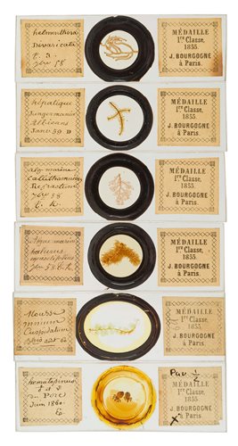 Lot 296 - BAKER, HENRY, 'THE MICROSCOPE MADE EASY'