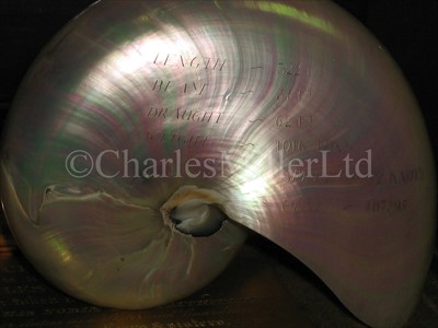 Lot 134 - A 19TH CENTURY NAUTILUS SHELL COMMEMORATING...